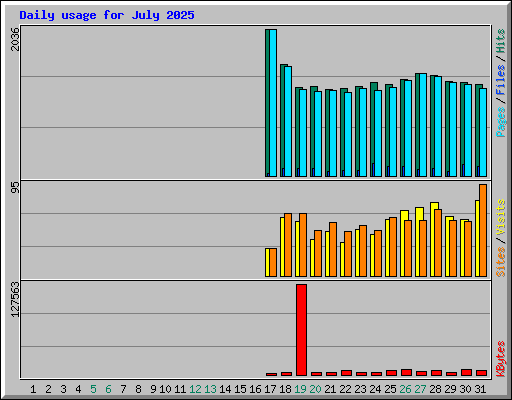 Daily usage for July 2025