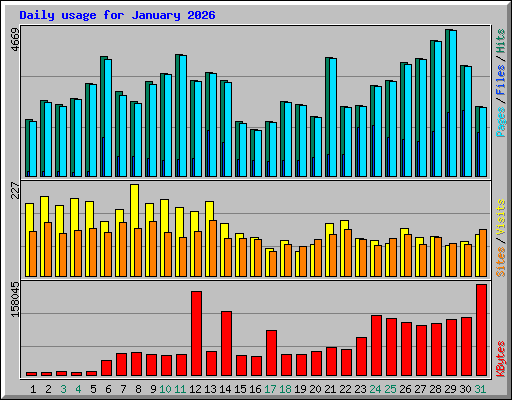 Daily usage for January 2026