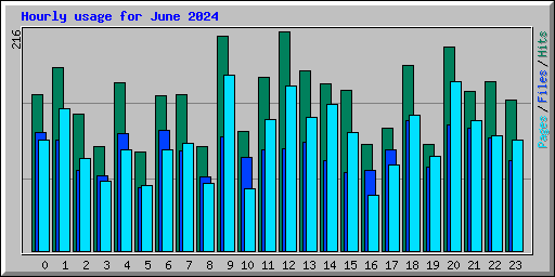 Hourly usage for June 2024