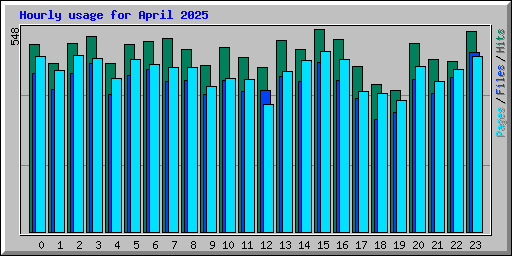 Hourly usage for April 2025