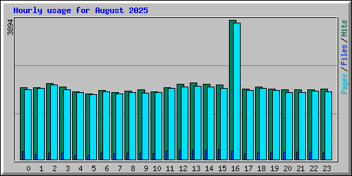 Hourly usage for August 2025