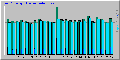 Hourly usage for September 2025
