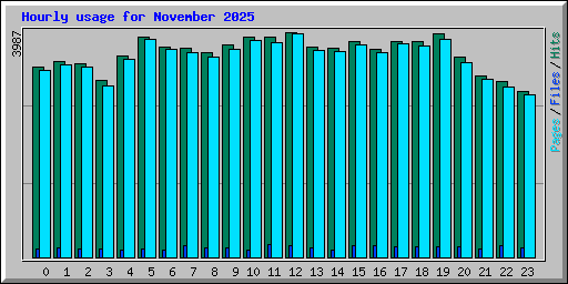 Hourly usage for November 2025