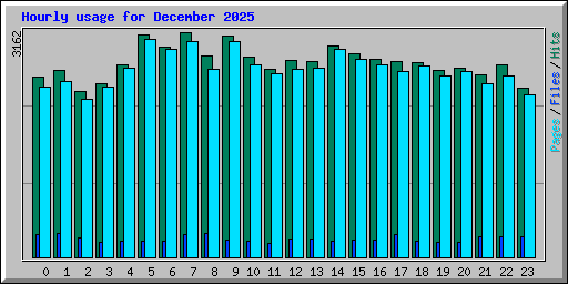 Hourly usage for December 2025