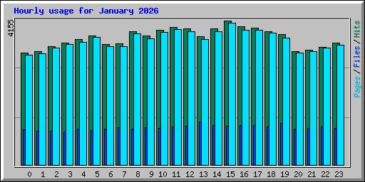 Hourly usage for January 2026