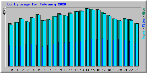 Hourly usage for February 2026