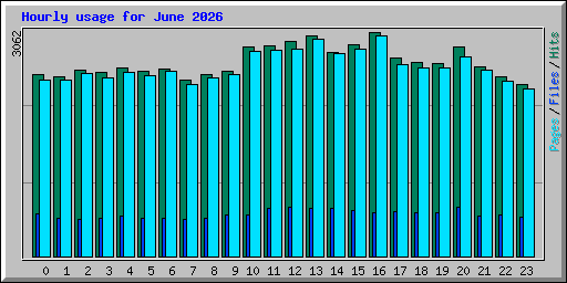 Hourly usage for June 2026